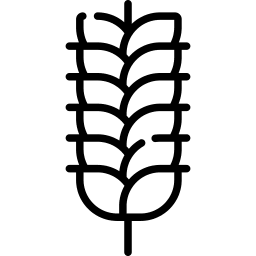 Blé (Gluten)